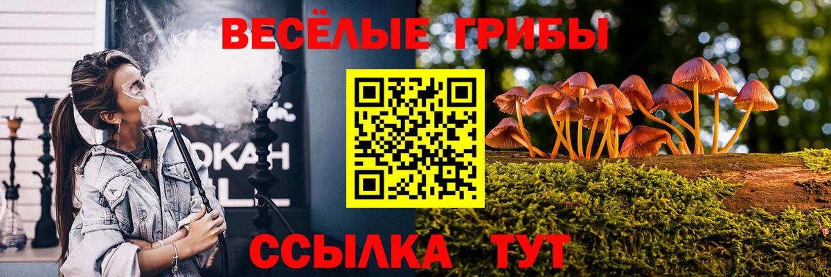 Псилоцибиновые грибы Psilocybe Россошь
