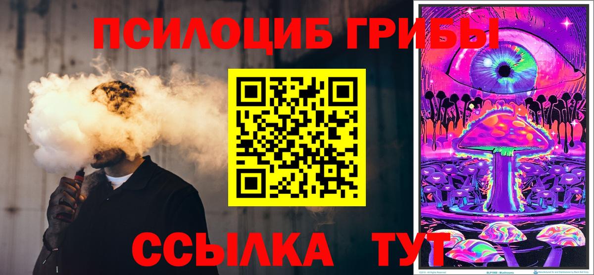 Псилоцибиновые грибы Psilocybe  Вход с VPN  Россошь 
