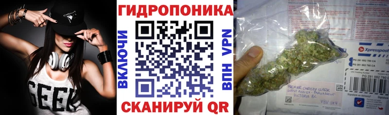 Бошки Шишки гибрид  Россошь 